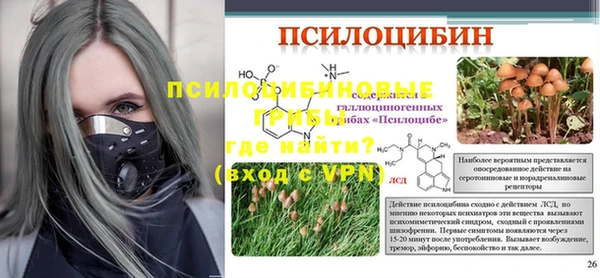 шишки Аркадак