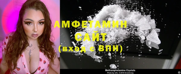 шишки Аркадак