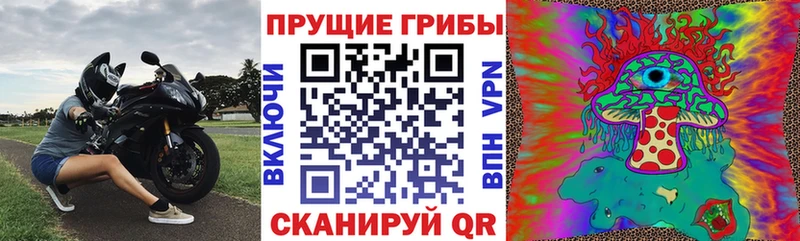 Псилоцибиновые грибы Cubensis  закладки  Чайковский 